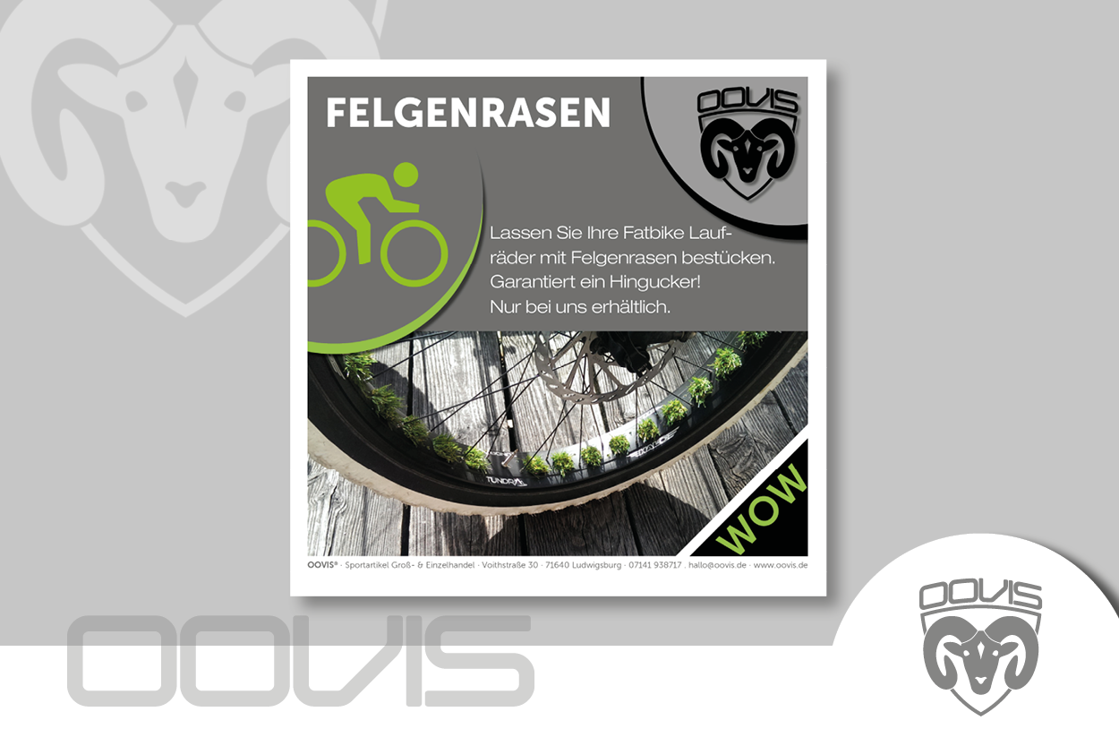 Entwicklung und Design eines Thekendisplays sowie Informationsflyer